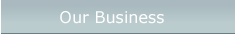 our business