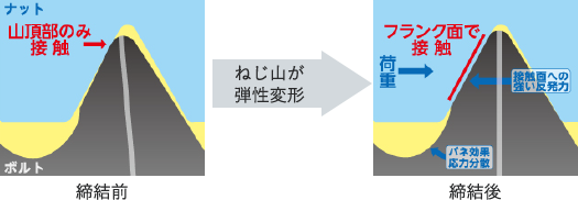 ねじ山が弾性変形